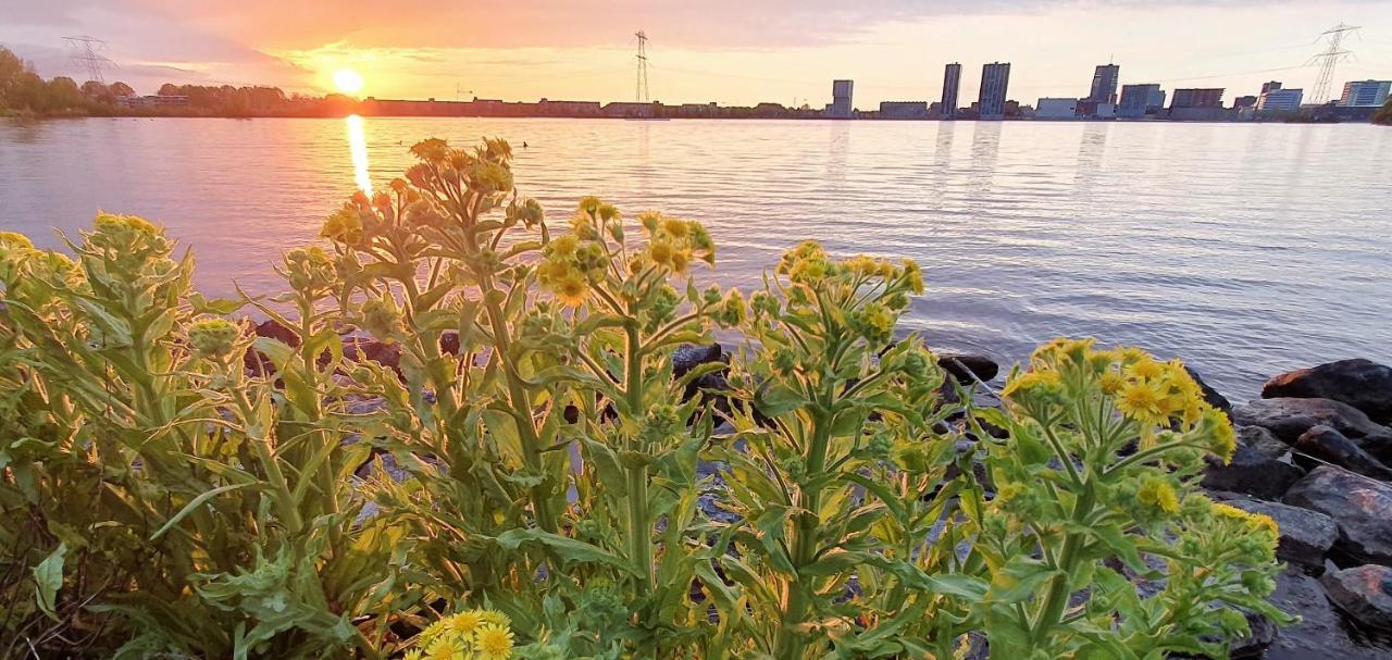 Inntermezzo Almere Exteriör bild