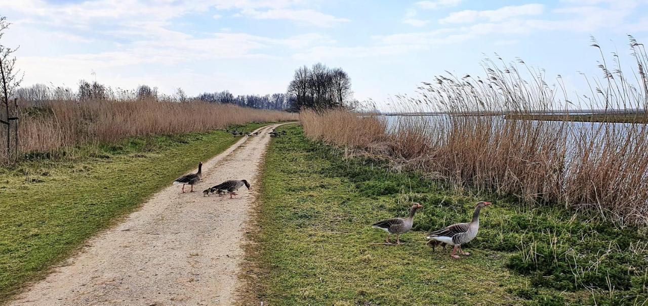 Inntermezzo Almere Exteriör bild